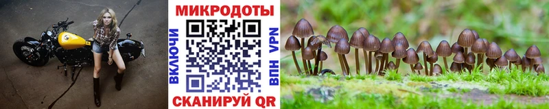 Галлюциногенные грибы Cubensis  Волгоград 