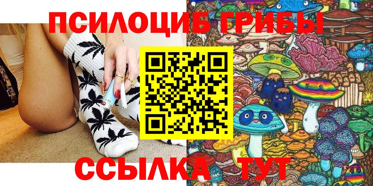 Псилоцибиновые грибы Psilocybe Волгоград