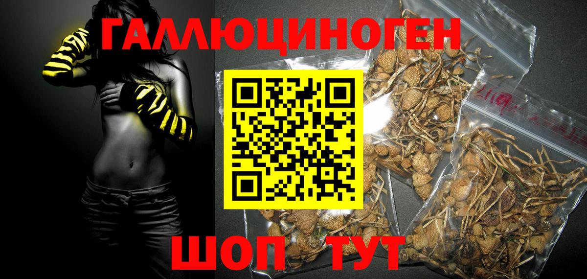 Псилоцибиновые грибы прущие грибы Волгоград