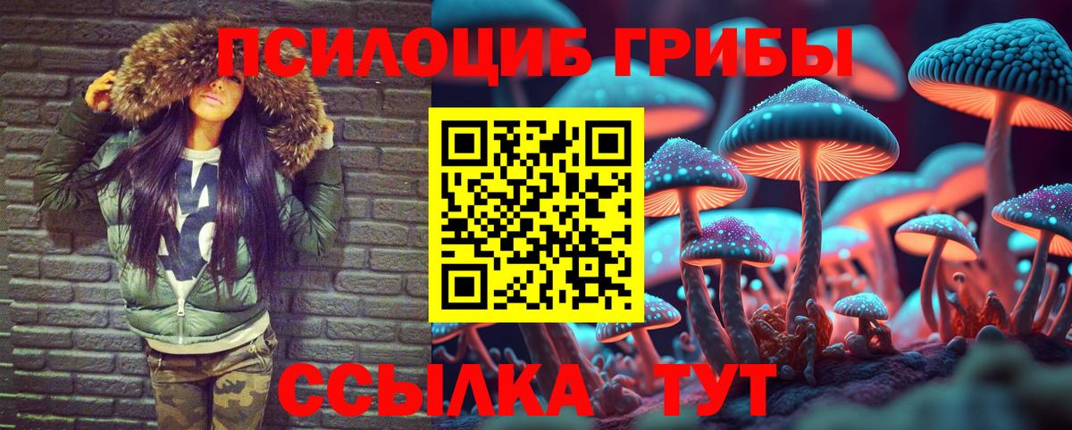 Псилоцибиновые грибы прущие грибы  Псилоцибиновые грибы прущие грибы  Волгоград 