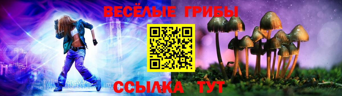 Галлюциногенные грибы Psilocybe  Вход с VPN  что такое   Волгоград  Галлюциногенные грибы MAGIC MUSHROOMS 